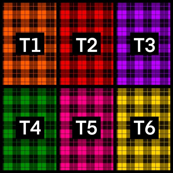 Tartan Adult Fitted Crop Top - Image 2