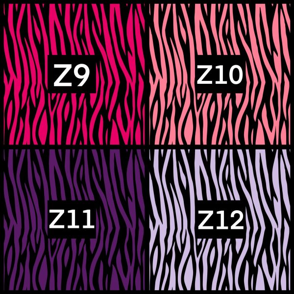 Zebra Blanket - Image 4