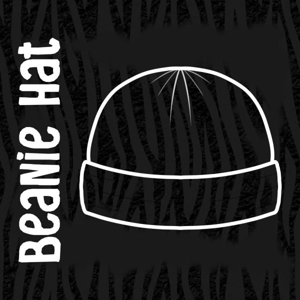 Zebra Beanie Hat - Kids and Adult