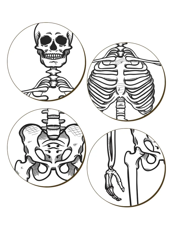 Dem Bones 4 Piece Coaster Set